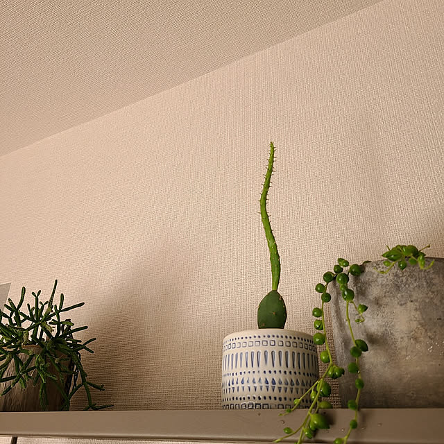 keksmさんの実例写真