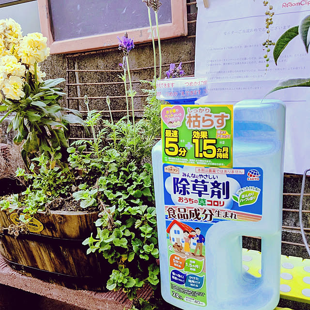 HIROMINさんの実例写真
