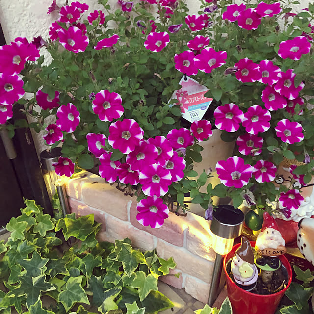satooさんの実例写真