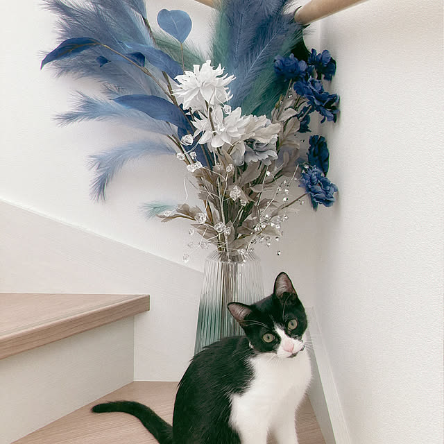 makittyさんの実例写真