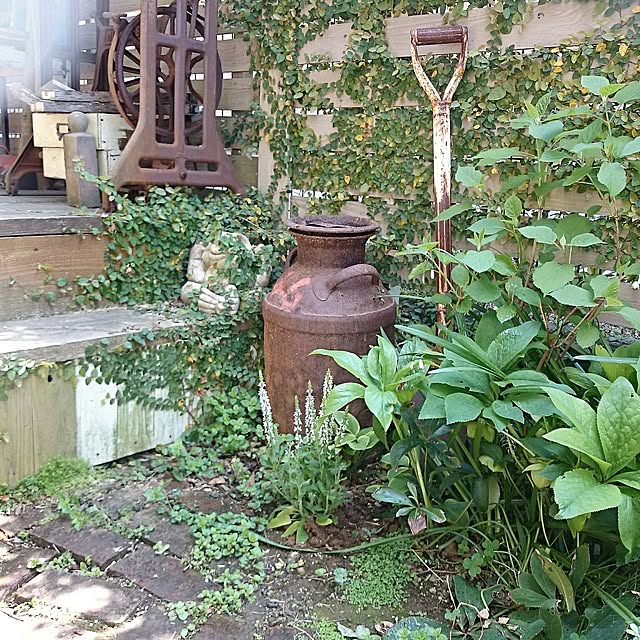 実例写真