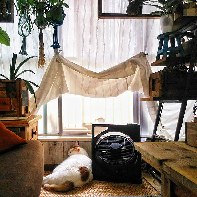 ugさんの実例写真