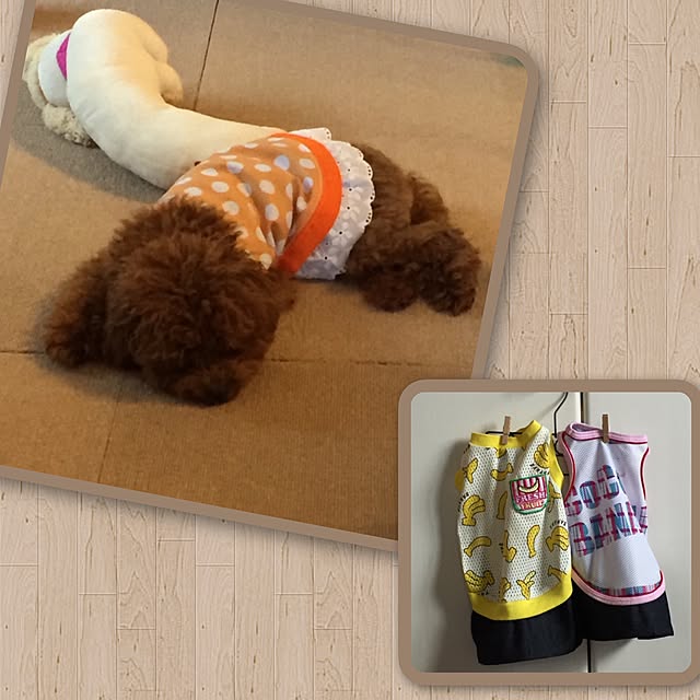 ISM.mumさんの実例写真