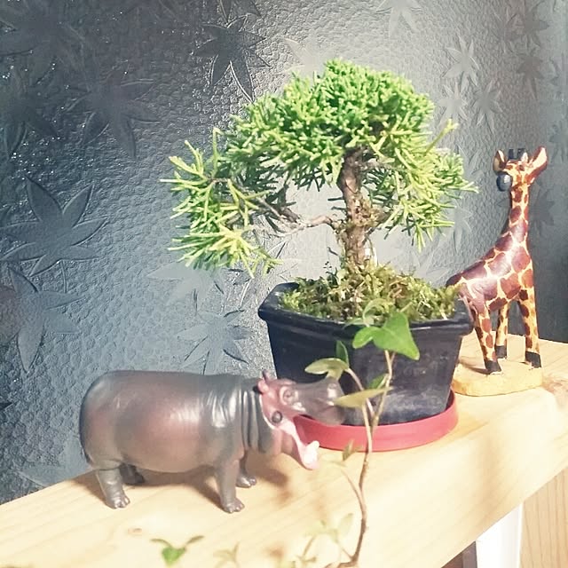 hana.1321jpさんの実例写真