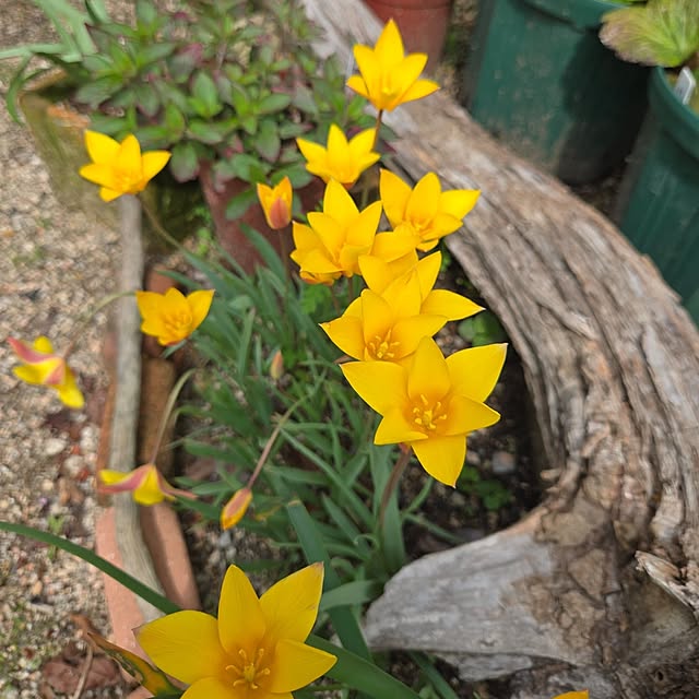 min_nimさんの部屋