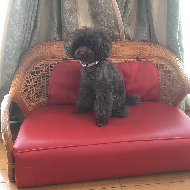 moningさんの実例写真