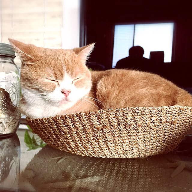 maruさんの実例写真