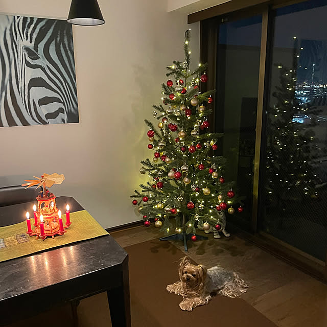 dearyumiさんの実例写真