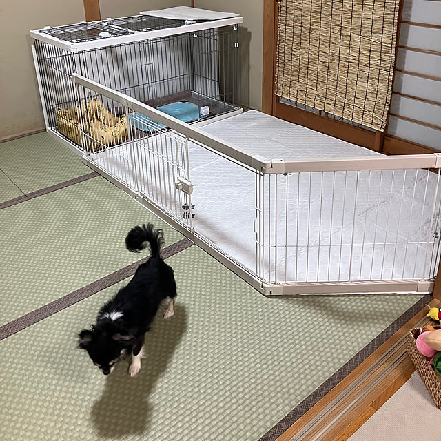 koroさんの部屋