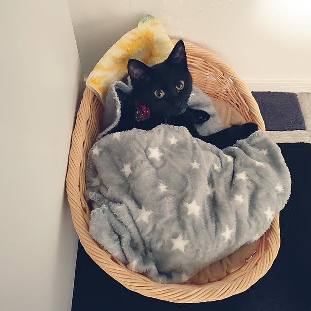 sakuraさんの実例写真