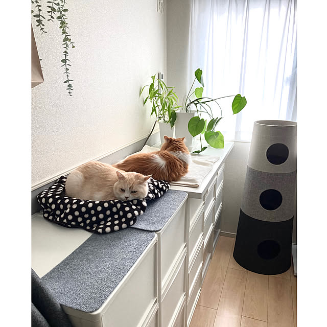 H.Tさんの実例写真