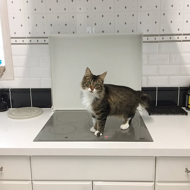 yuchiさんの実例写真