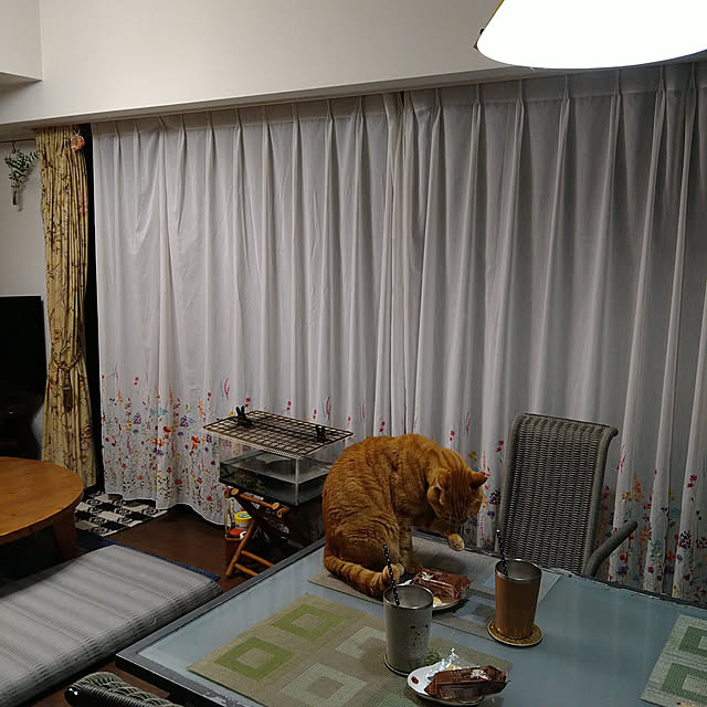 okyosan101さんの実例写真