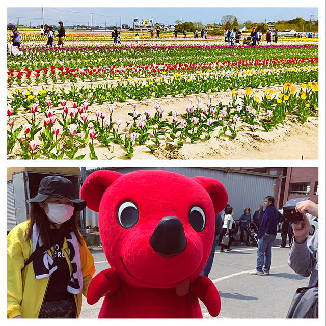 実例写真