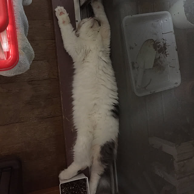keibooさんの実例写真
