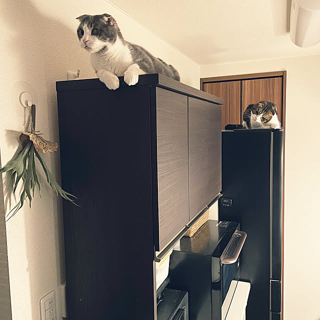 tansukeさんの部屋