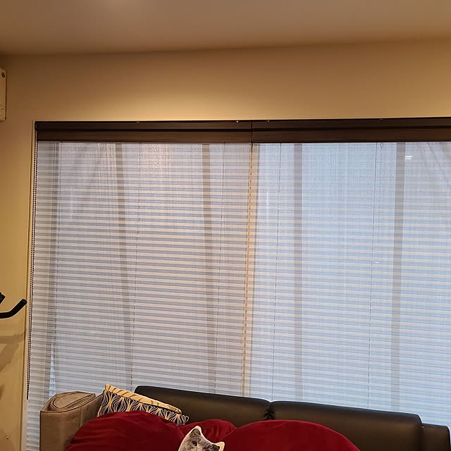 zenoさんの実例写真
