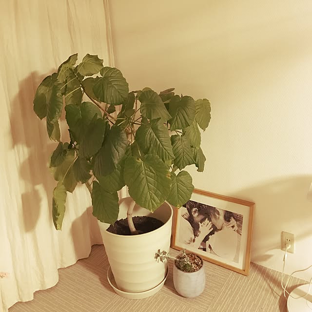部屋全体のインテリア実例 - 2017-06-24 22:49:17