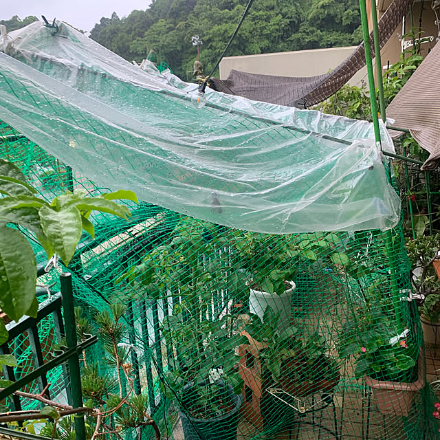 Aqettyさんの部屋