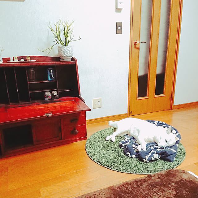 bossさんの実例写真