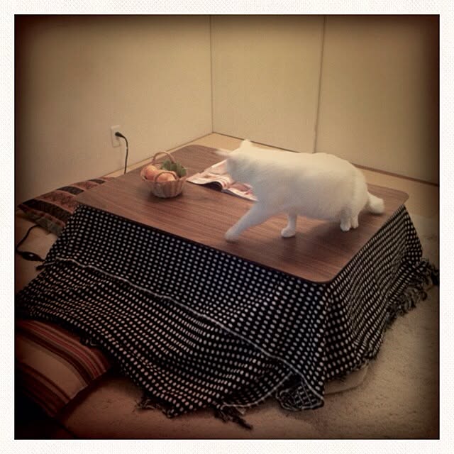 mameさんの実例写真