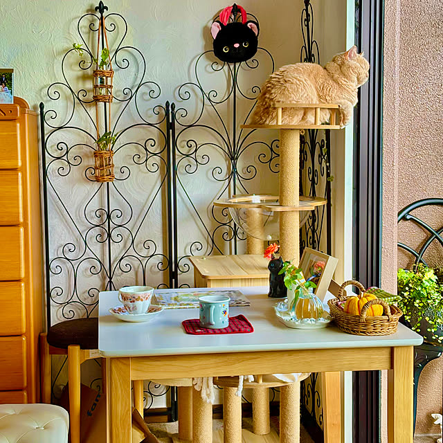 naokoさんの実例写真