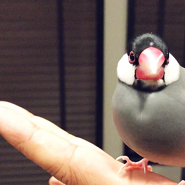 H-iroyaさんの実例写真