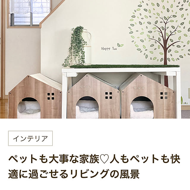 chachamamaさんの部屋