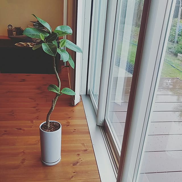 flat_house_japanさんの実例写真
