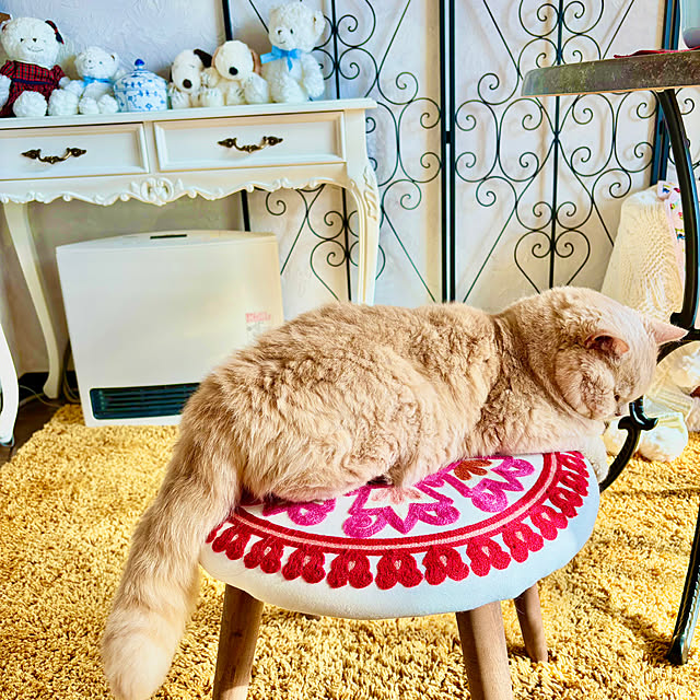 naokoさんの実例写真