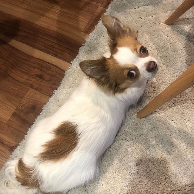 tomoさんの部屋