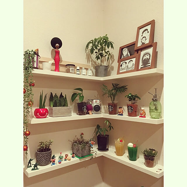chippa8さんの実例写真