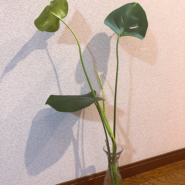Kieさんの実例写真