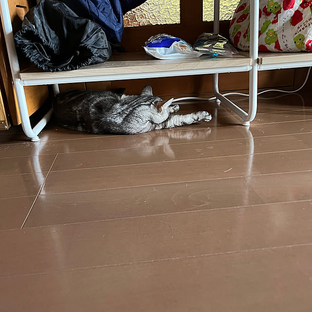 zabonzabonさんの部屋
