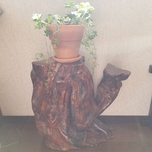 midoriさんの実例写真
