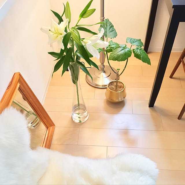 frenchmodernbbさんの実例写真