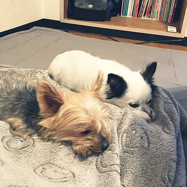 ohanaさんの実例写真