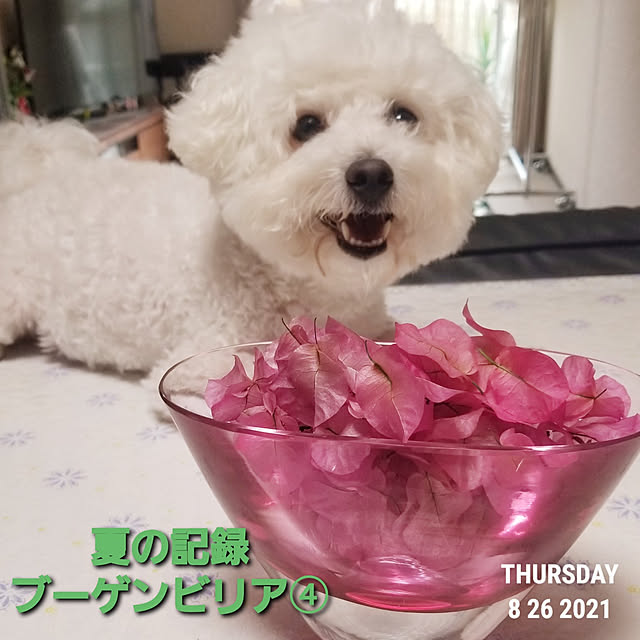 takoさんの実例写真