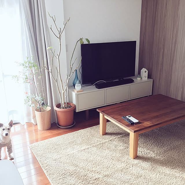 cmnm626さんの実例写真