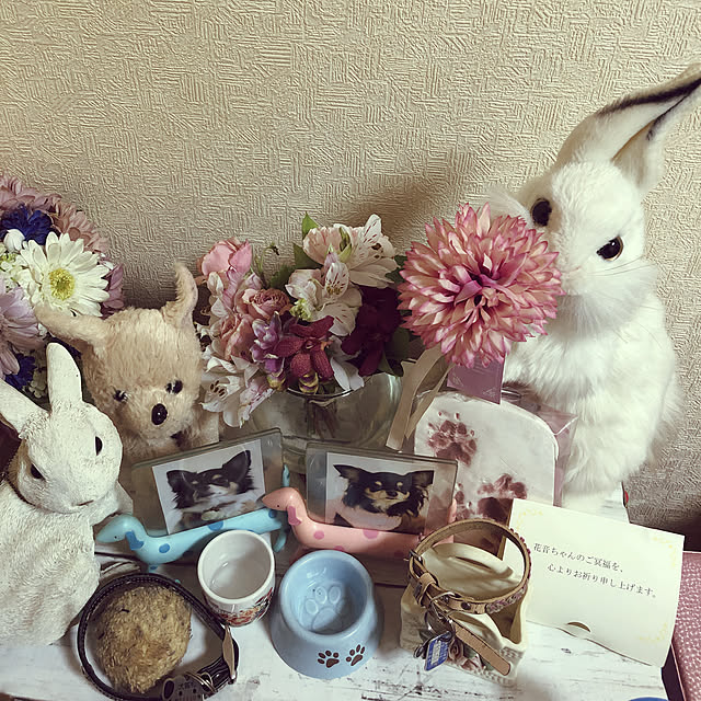 Kaiさんの実例写真