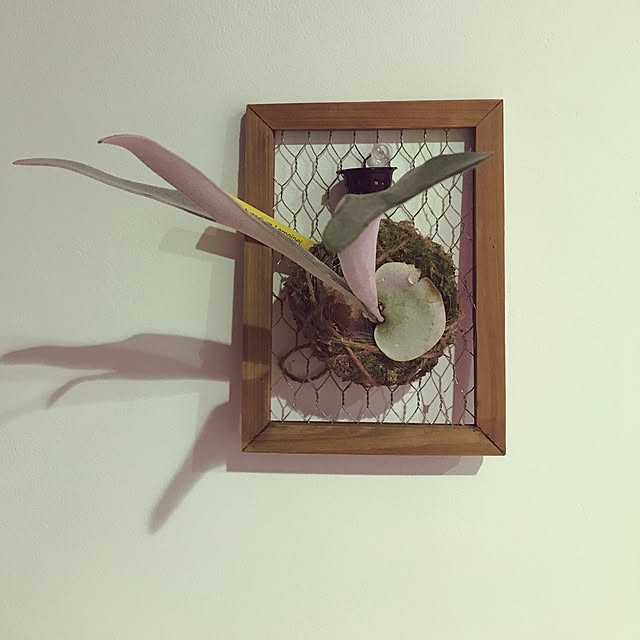 MiRiderさんの実例写真