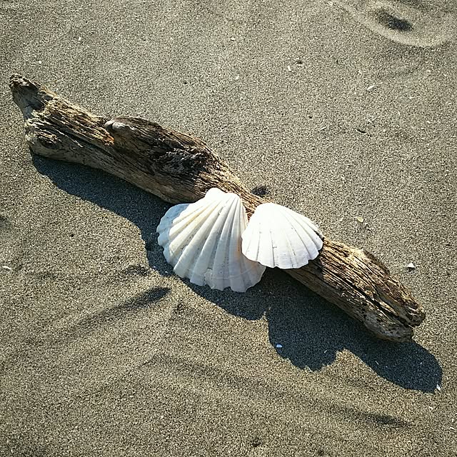 ...t_m_eee...さんの実例写真