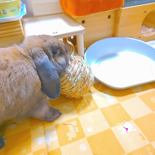 mariaさんの部屋