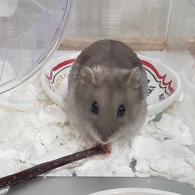 BAZさんの実例写真