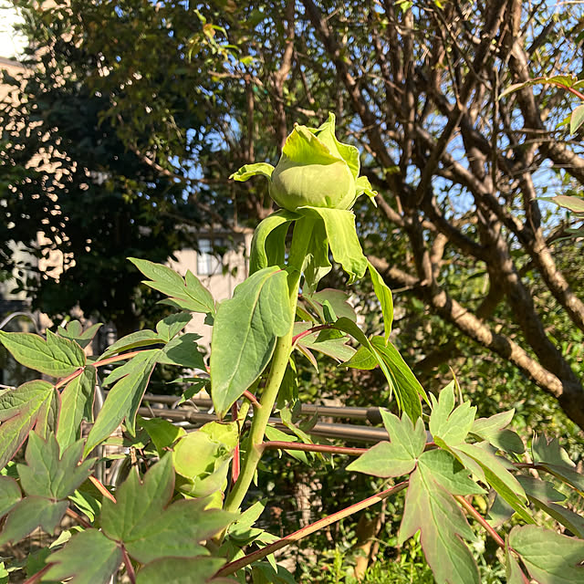 amiromikaさんの部屋