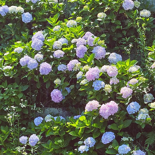 mocomocoさんの部屋