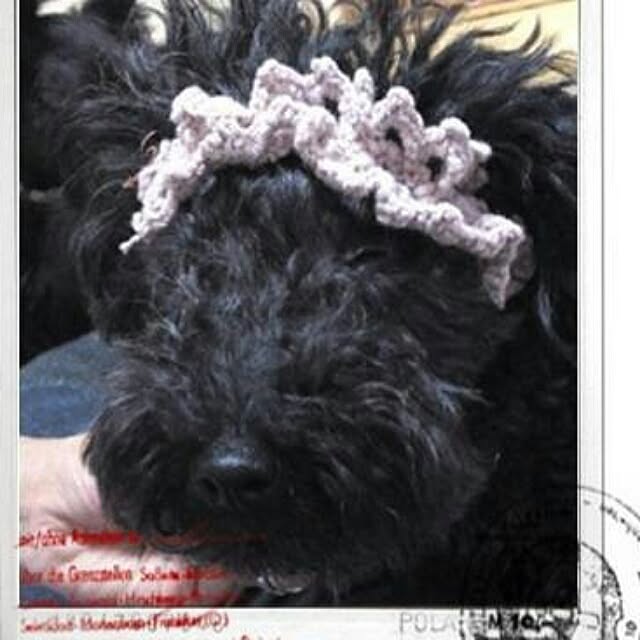 cedarrosemamさんの実例写真