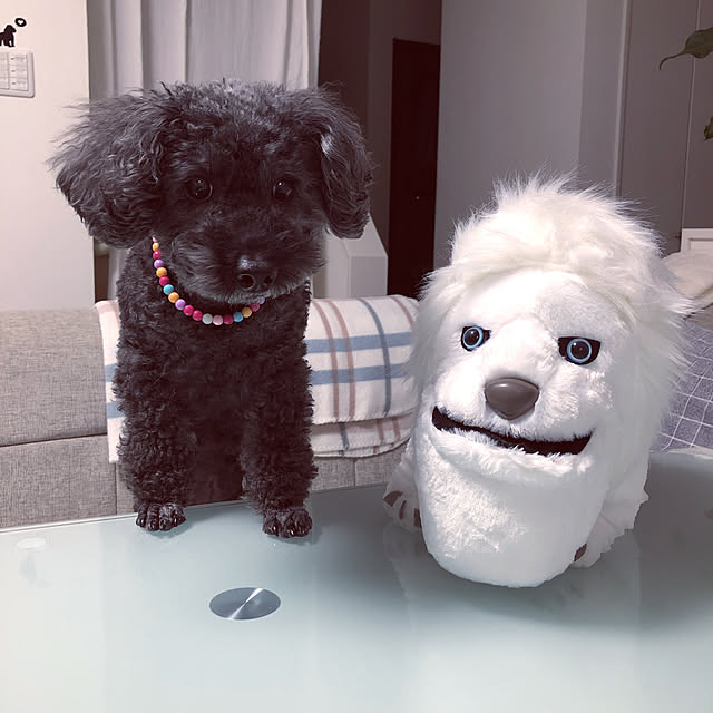 mama_panさんの実例写真