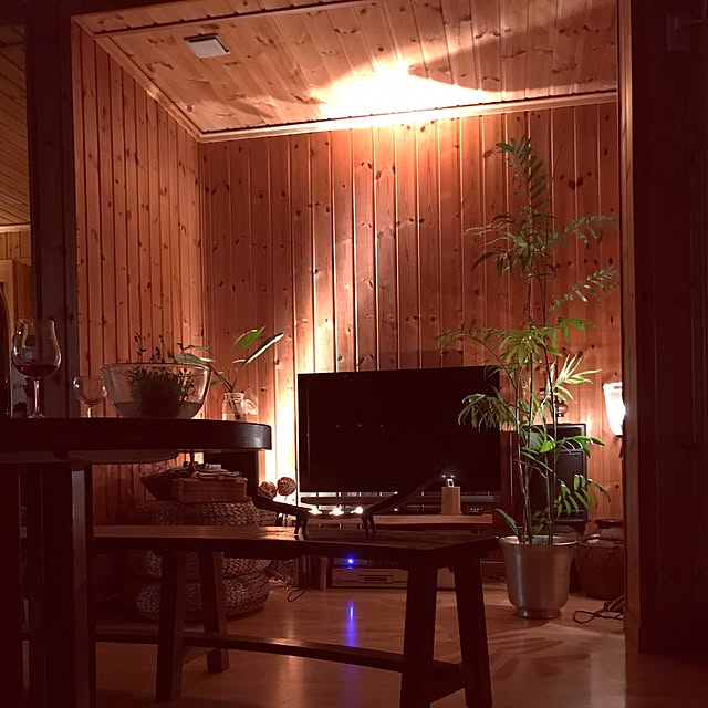 部屋全体/照明/観葉植物/北欧のインテリア実例 - 2017-04-23 07:03:43