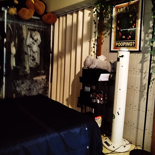 runaさんの部屋